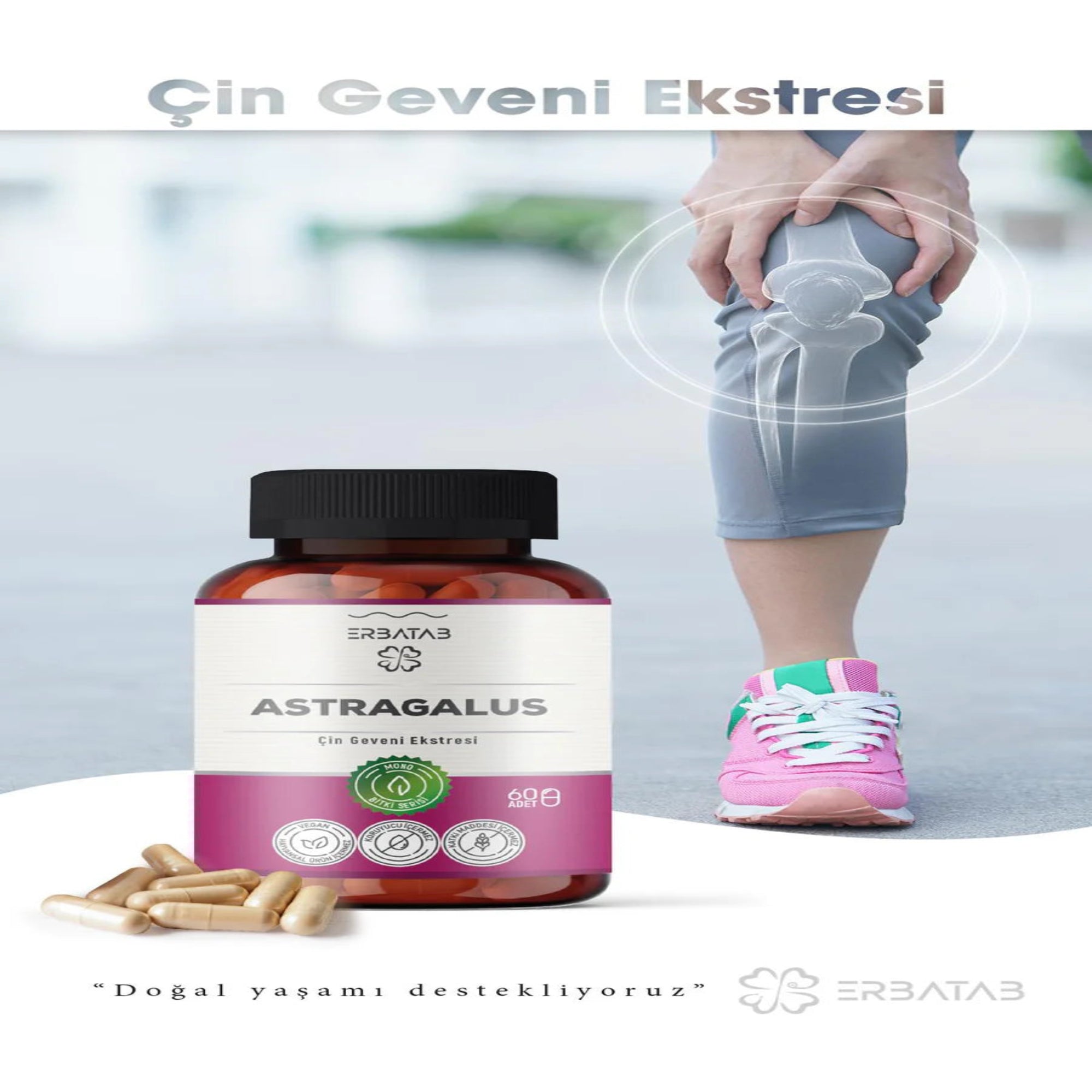 Erbatab Astragalus Çin Geveni Ekstresi 60 Kapsül-24 ADET