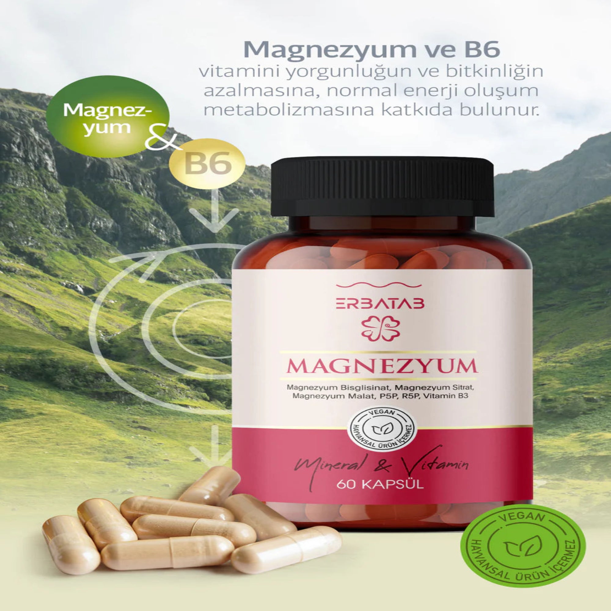 Erbatab Magnezyum 3 lü Form (Bisglisinat, Sitrat, Malat) & Vitamin B2 , B3 , B6 - 60 Kapsül-24 ADET